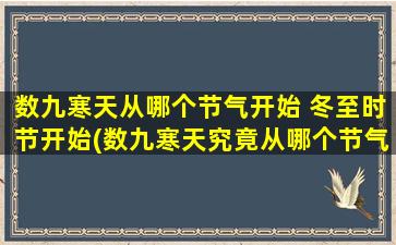 数九寒天从哪个节气开始 冬至时节开始(数九寒天究竟从哪个节气开始？冬至为中心，详细解析！)